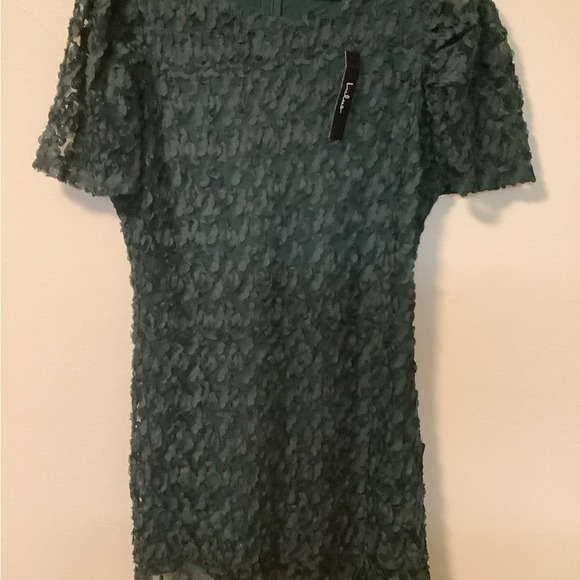 Lulu’s dark green puff short sleeves sheer mesh fabric flirty mini dress size L - Picture 4 of 7